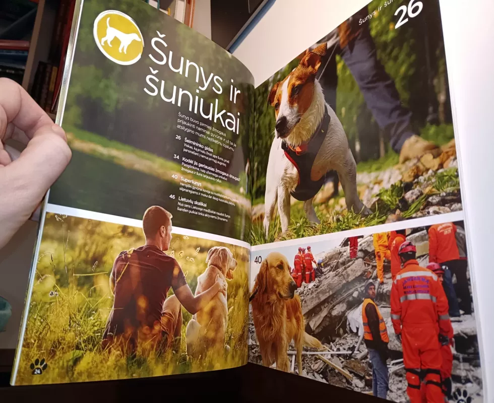 Nuostabūs augintiniai - Autorių Kolektyvas, knyga 4