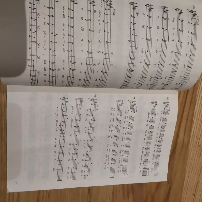 PARTIZANŲ POEZIJA / Dainos, natos - Živilė Ramoškaitė, knyga 4