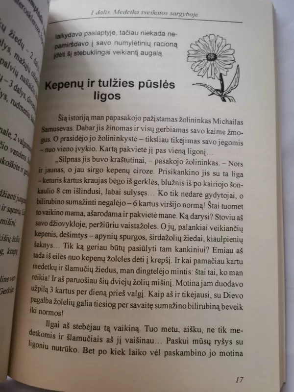 Medetkos prieš 100 ligų - Nadežda Stogova, knyga 4