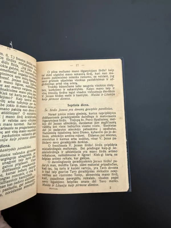 Novenos prie Viešpaties Jezaus, Šv. Panos Marijos - kolektyvas, knyga 5