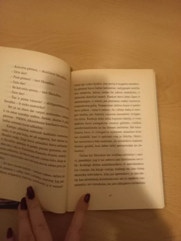 Kalėdų giesmė - Charles Dickens, knyga 5