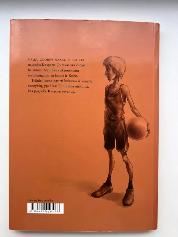 Trise prieš mafiją - Vaitkevičiūtė Daiva, knyga 6