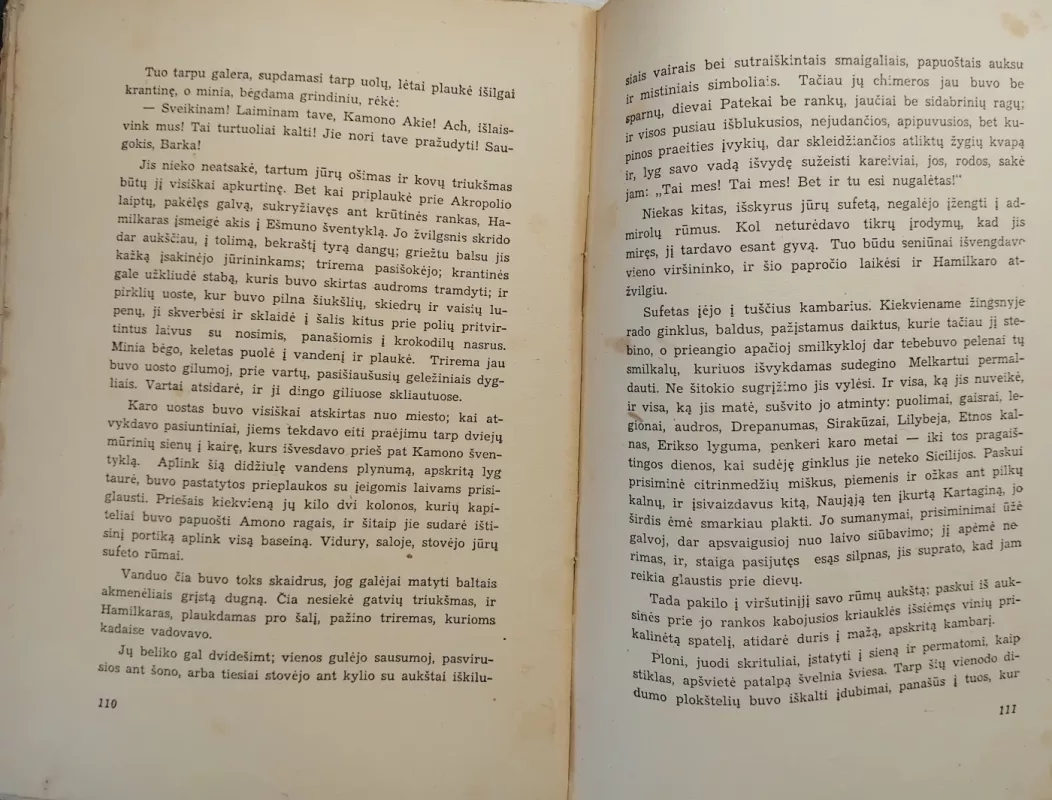 SALAMBO - Gustave Flaubert, knyga 5