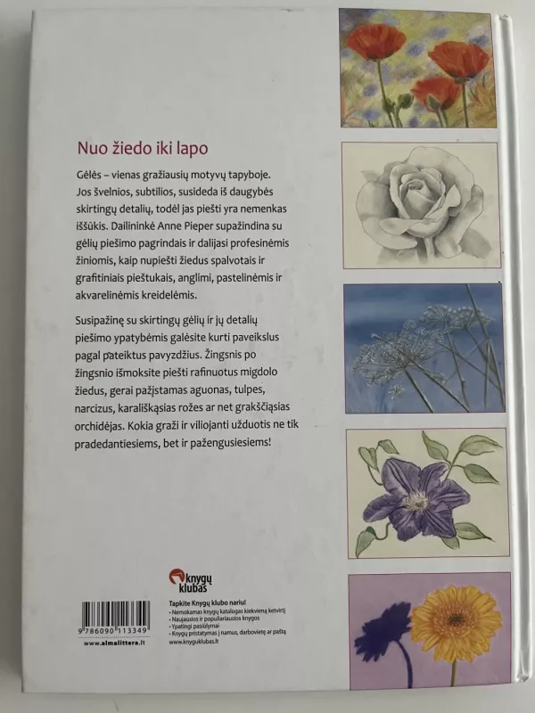 Gėlės. Piešimo pamokos - Anne Pieper, knyga 3