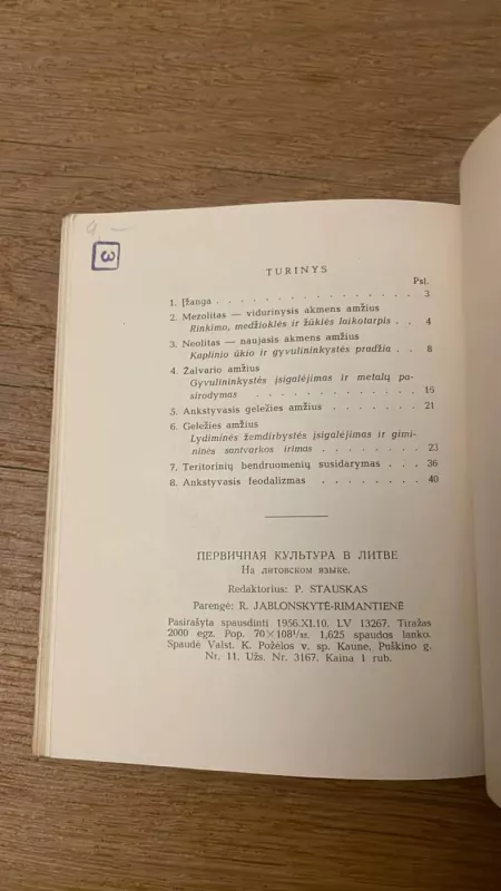 Pirminė kultūra Lietuvoje - Autorių Kolektyvas, knyga 6