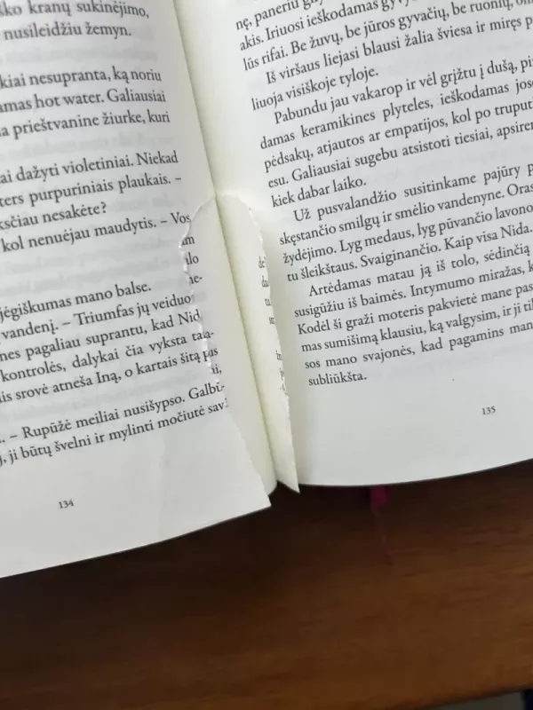 Grybo sapnas - Gabija Grušaitė, knyga 4