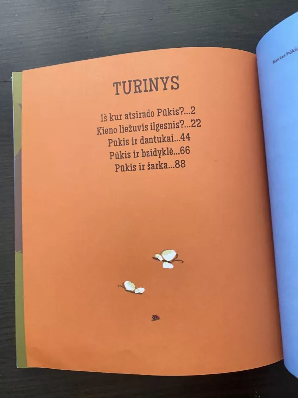 Kas tas Pūkis? - Vytautas Landsbergis, knyga 4