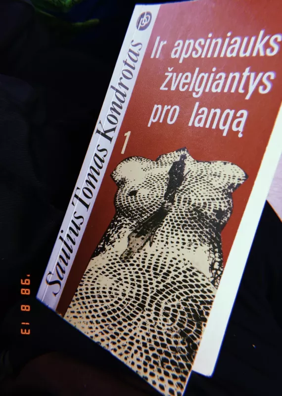 Ir apsiniauks žvelgiantys pro langą (2 knygos) - Saulius Tomas Kondrotas, knyga 2