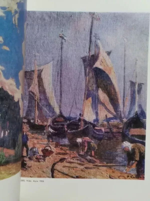 Petras Kalpokas - Nijolė Tumėnienė, knyga 3