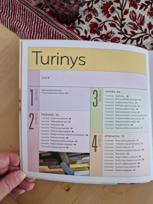 Meno laboratorija vaikams - Susan Schwake, knyga 4