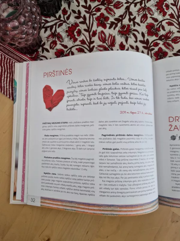 Mamos mezgimo dienoraštis - Jurga Gedminė, knyga 5