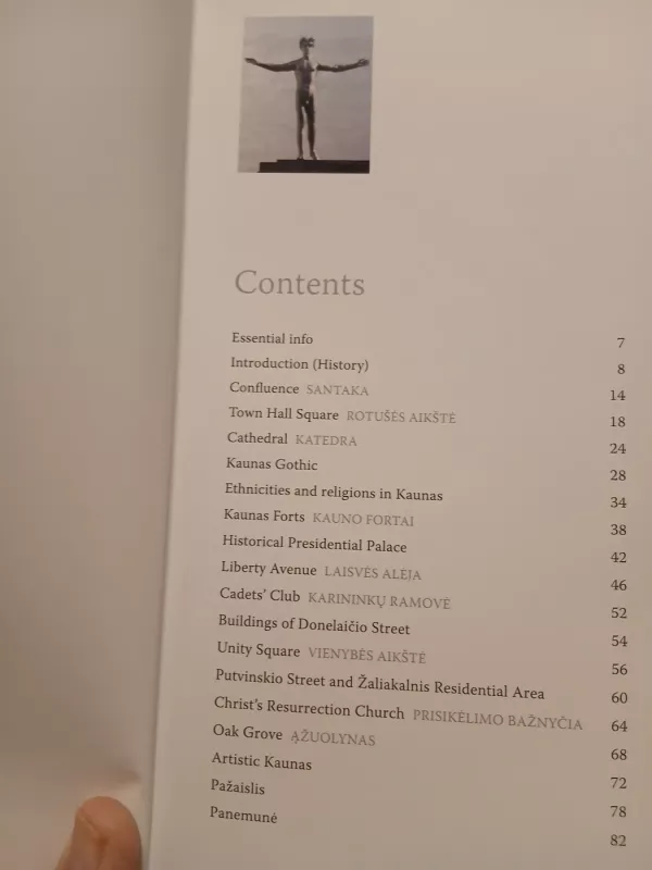 Kaunas - Irena Vaišvilaitė, knyga 3