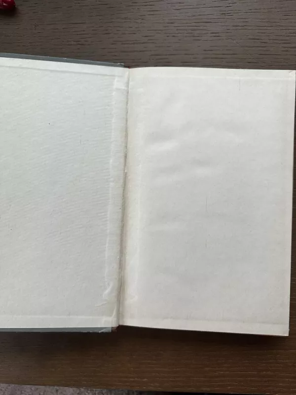 Plieninių konstrukcijų pagrindai - J. Paulauskas, knyga 5