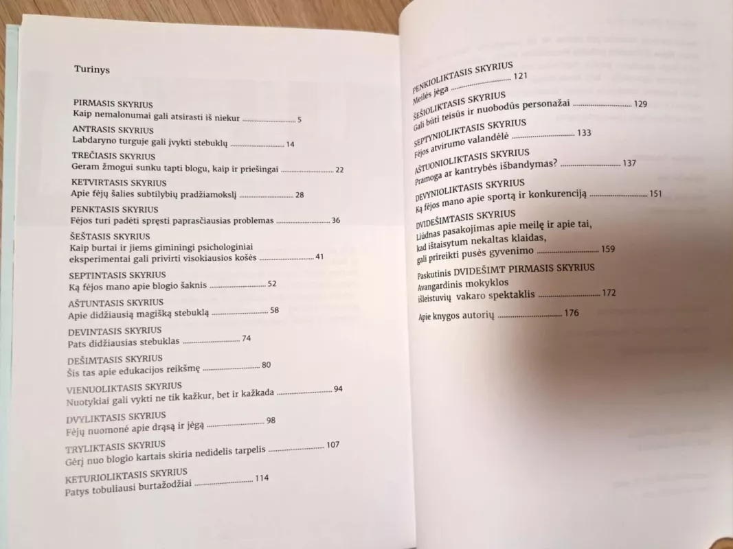 Labdarinė fėja. Visa tiesa apie stebuklus ir burtus - Remigijus Žukauskas, knyga 3