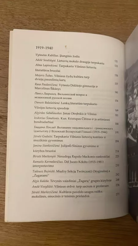 Vilniaus kultūrinis gyvenimas 1900-1940 - Alma Lapinskienė, knyga 5