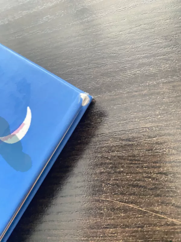 Kas tas Pūkis? - Vytautas Landsbergis, knyga 5