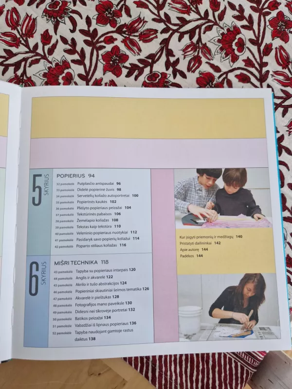 Meno laboratorija vaikams - Susan Schwake, knyga 5