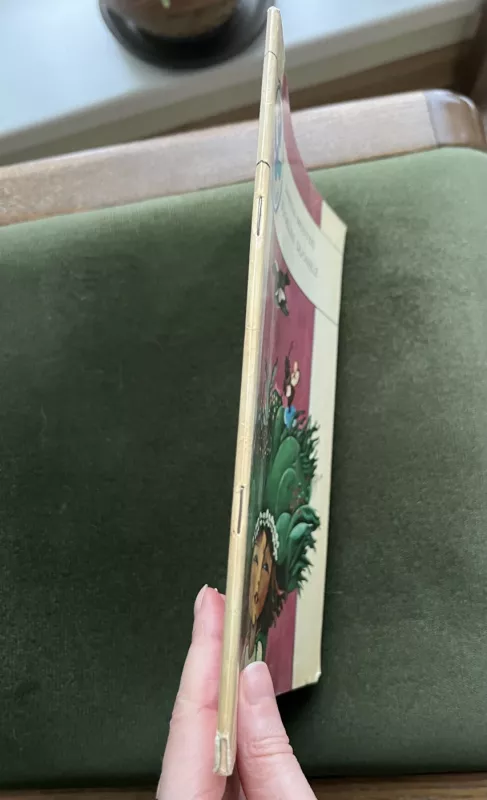 Juokias duonelė - Janina Degutytė, knyga 3