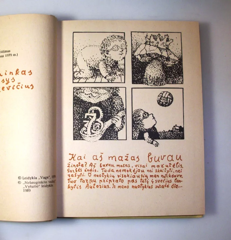 Danuko Dunduliuko nuotykiai - Vytautas Misevičius, knyga 6