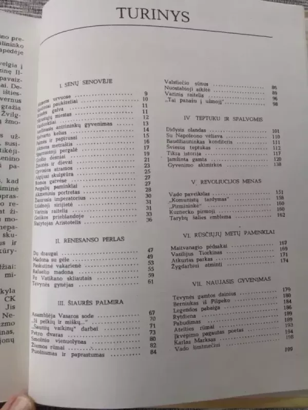 Apie tris meno šakas - Marina Andrejeva, Liubovė  Antonova, Olga  Dmitrijeva, knyga 3