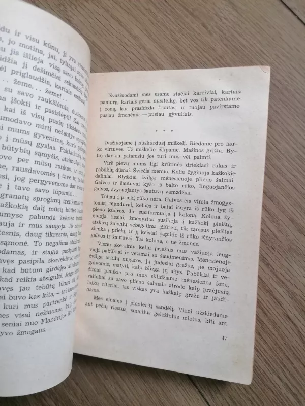 Vakarų fronte nieko naujo - Erichas Marija Remarkas, knyga 5