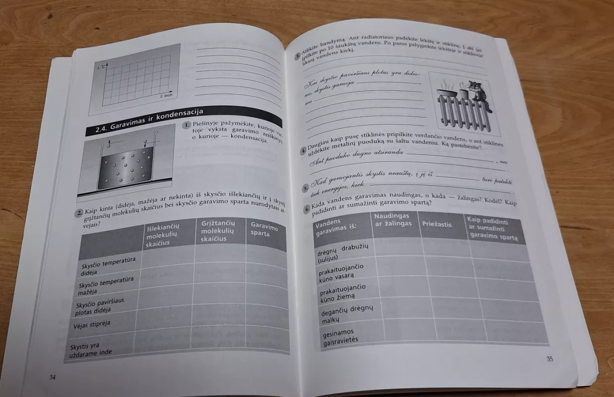 Fizikos pratybos 1 dalis IX klasei - Palmira Pečiuliauskienė, Vladas Valentinavičius, knyga 6