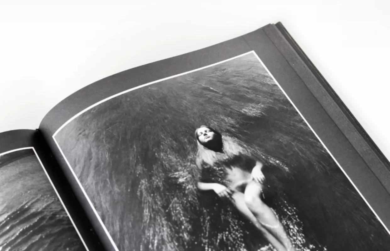 Žiedai tarp žiedų - Rimantas Dichavičius, knyga 5