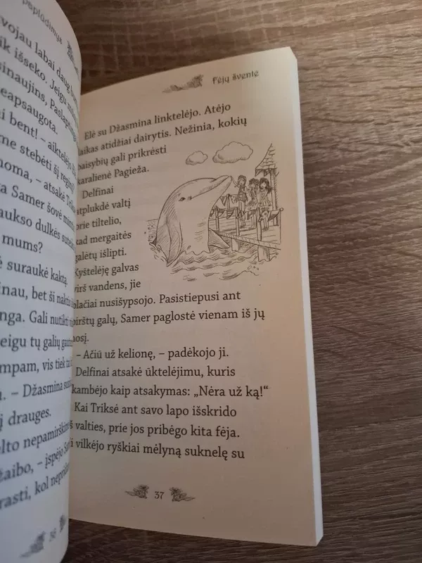 Auksinis paplūdimys. Ciklo "Paslaptinga karalystė" 6-oji knyga - Rosie Banks, knyga 4