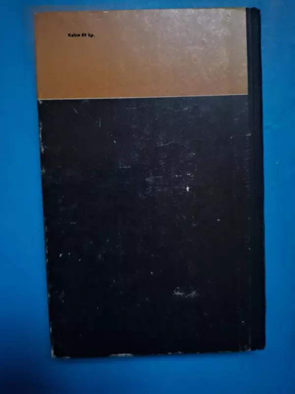 Didysis Mikelandželas - Irvingas Stounas, knyga 3