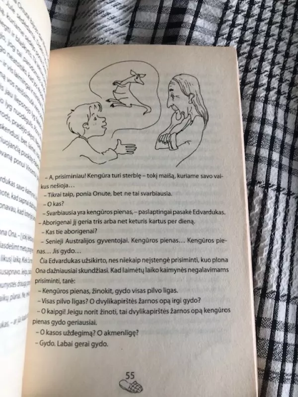 Šlepetė 3 - Vytautas Račickas, knyga 5