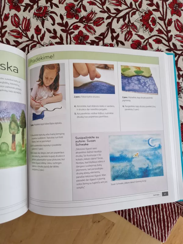 Meno laboratorija vaikams - Susan Schwake, knyga 6