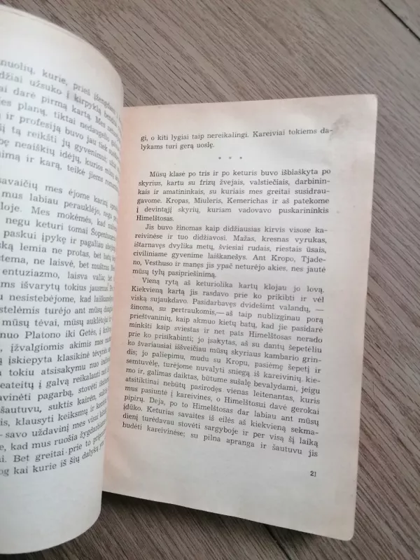 Vakarų fronte nieko naujo - Erichas Marija Remarkas, knyga 6