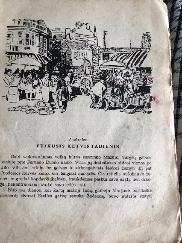 Arklys be galvos 1960 (Antikvarinė) - Polis Berna, knyga 4