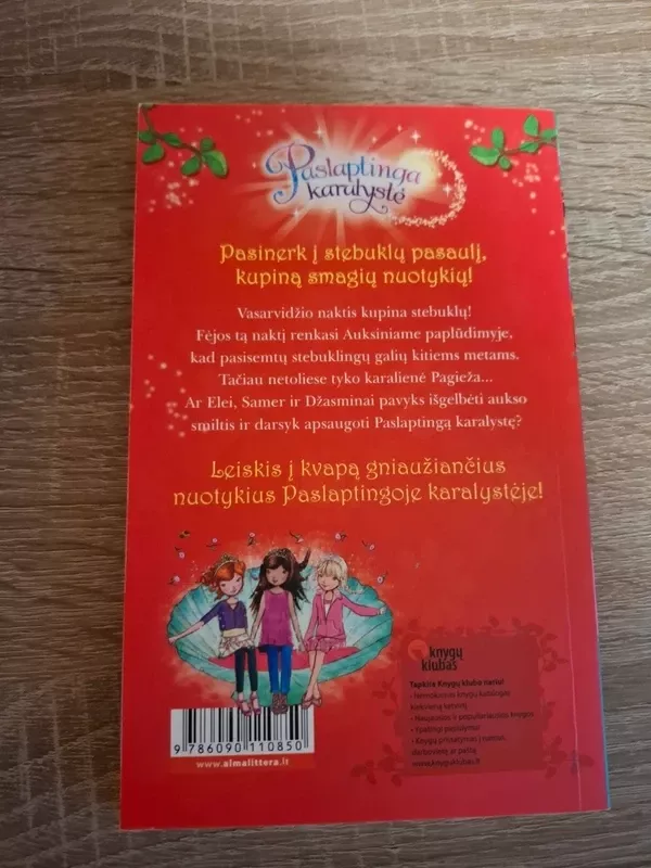 Auksinis paplūdimys. Ciklo "Paslaptinga karalystė" 6-oji knyga - Rosie Banks, knyga 3