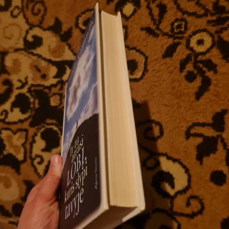 Ir tu atrasi lobį, kuris slypi tavyje - Laurent Gounelle, knyga 3