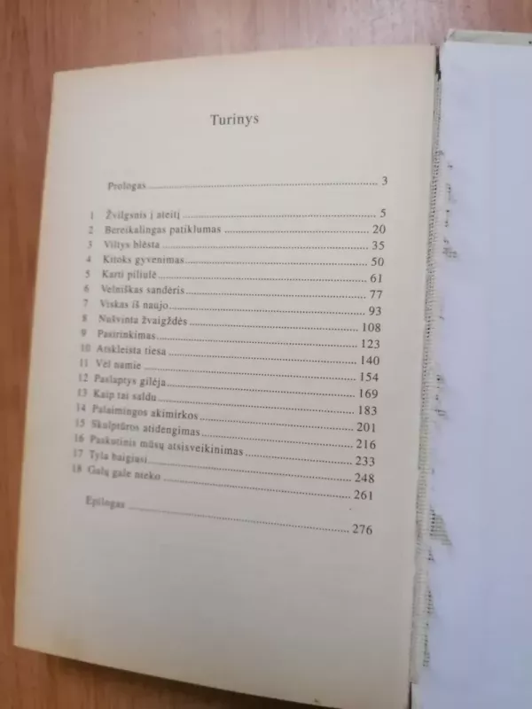 Nebaigta simfonija - Virginia C. Endrews, knyga 6