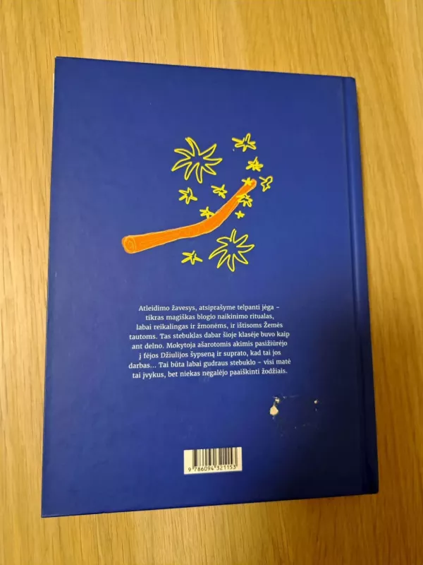 Labdarinė fėja. Visa tiesa apie stebuklus ir burtus - Remigijus Žukauskas, knyga 4