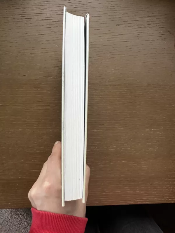 Istorijos inžinierius Edvardo Gudavičiaus tekstai apie Lietuvą, Europą ir pasaulį - Aurimas Švedas, knyga 4