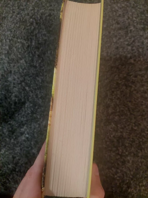 Helenos paslaptis - LUCINDA RILEY, knyga 4