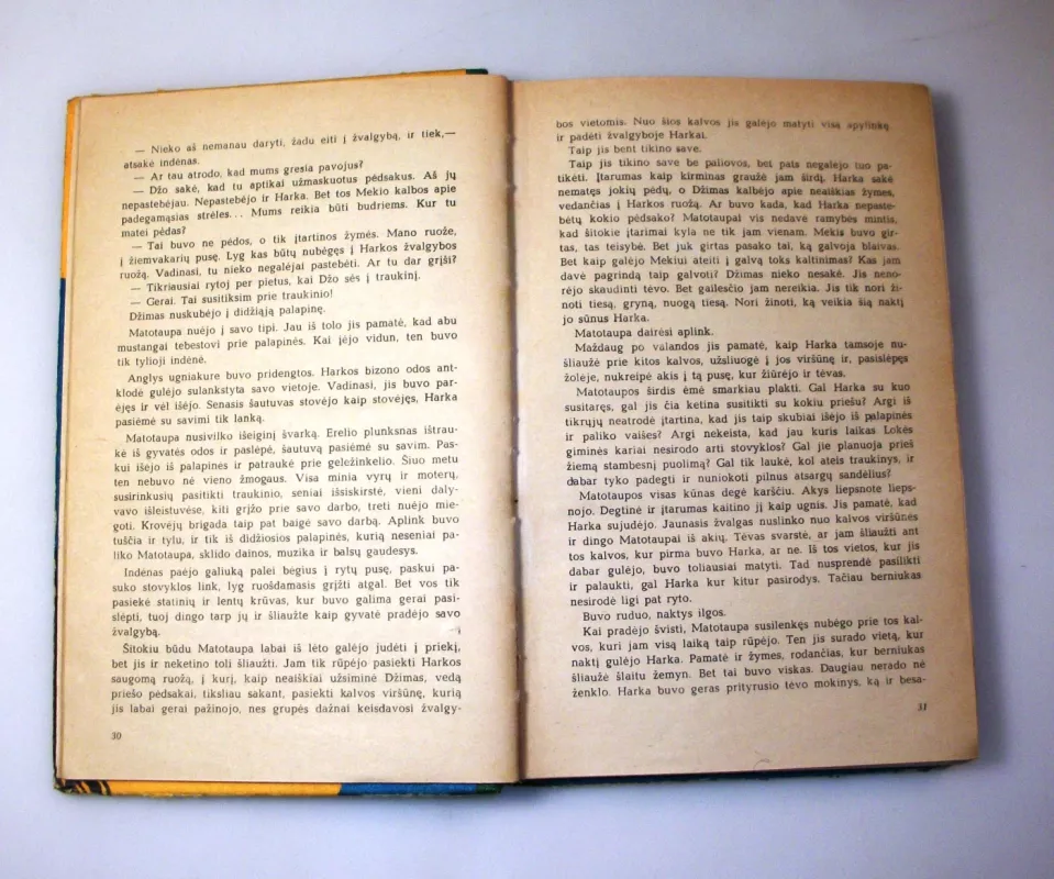 Sugrįžimas pas dakotus - Lizelotė Velskopf-Henrich, knyga 6