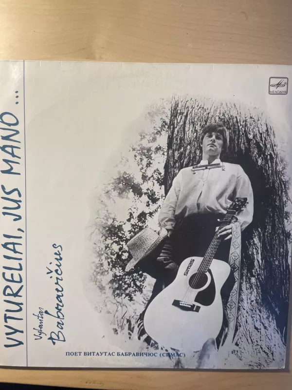 VYTURĖLIAI, JŪS MANO... - Vytautas Babravičius, plokštelė 2