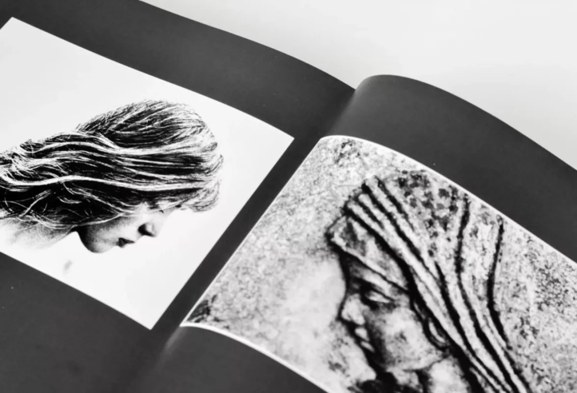 Žiedai tarp žiedų - Rimantas Dichavičius, knyga 2