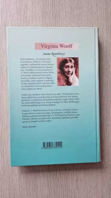 Savas kambarys - Virginia Woolf, knyga 3