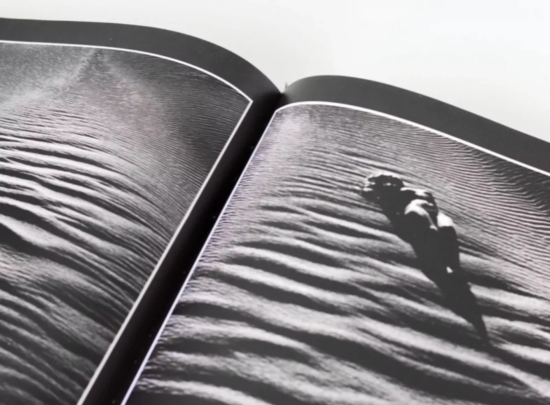 Žiedai tarp žiedų - Rimantas Dichavičius, knyga 4