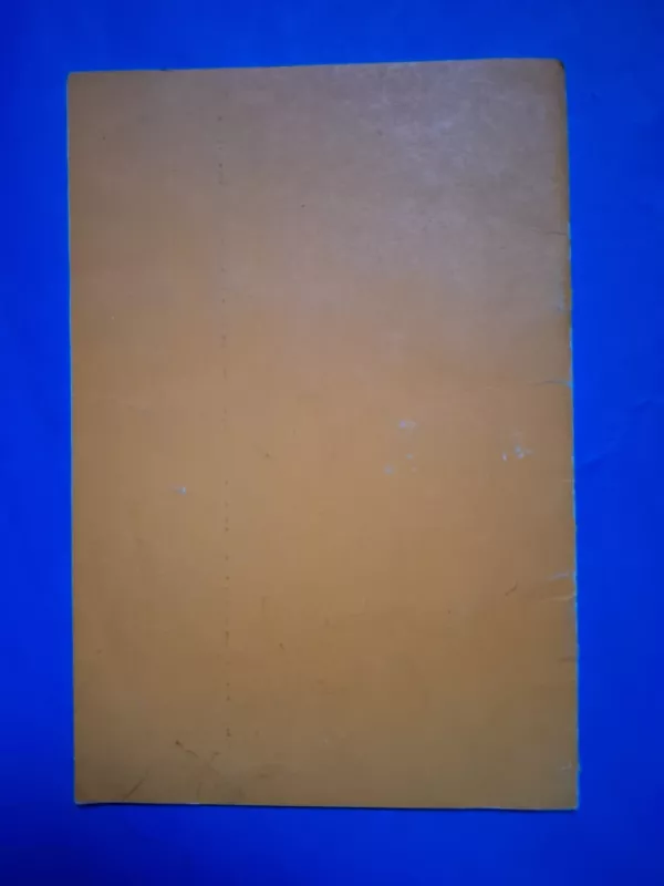 Melagio diena - Nijolė Marcinkevičienė, knyga 4