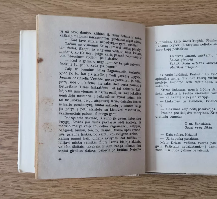 Meisteris ir sūnūs - Petras Cvirka, knyga 4