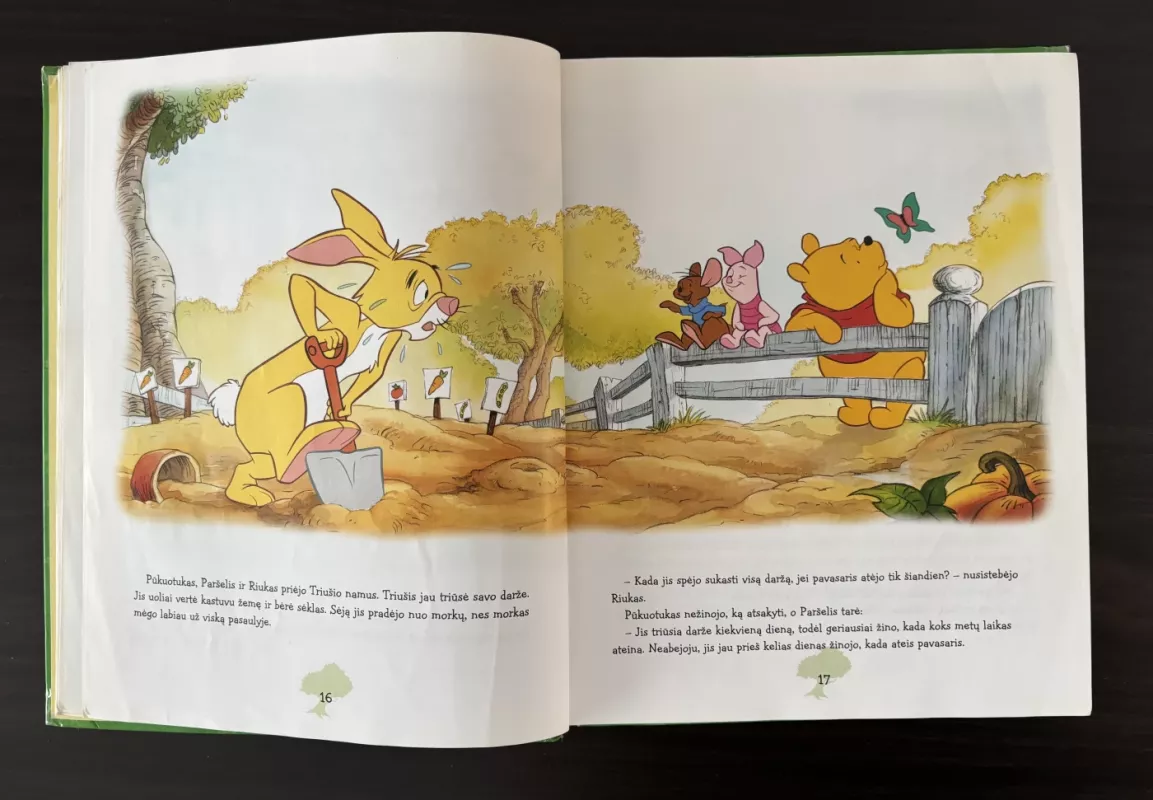 Metų laikai su Mikė Pūkuotuku - Walt Disney, knyga 5