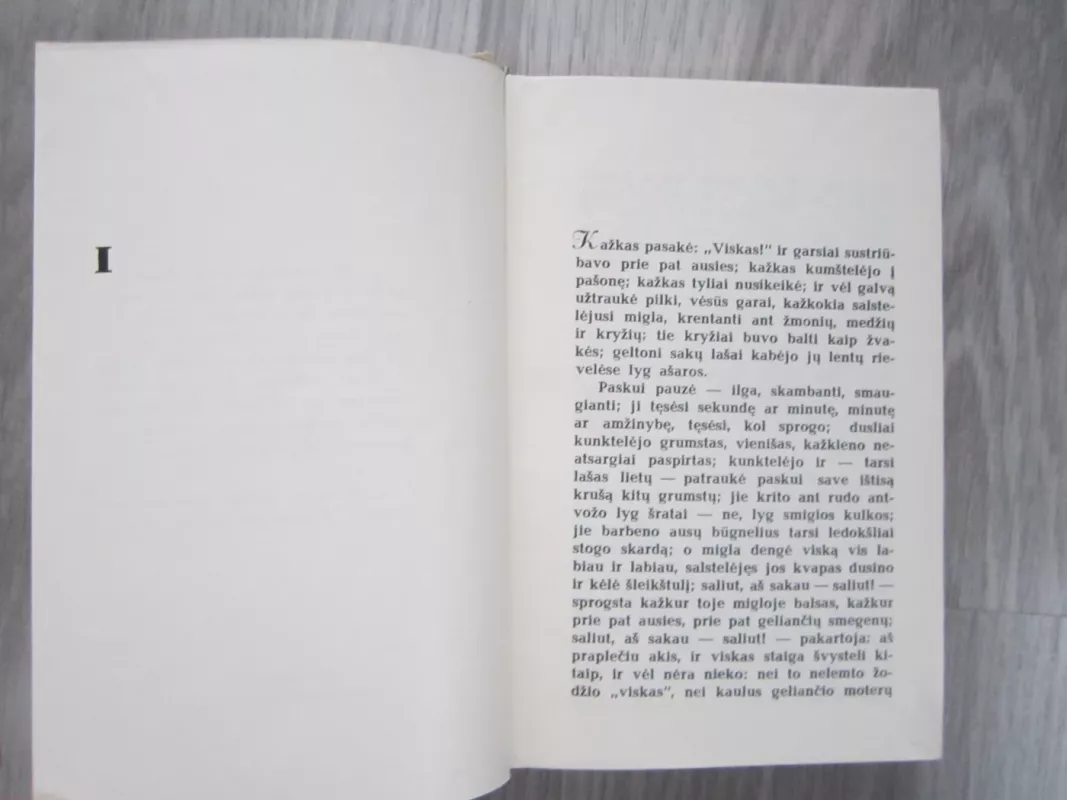 Kauno romanas - Alfonsas Bieliauskas, knyga 4