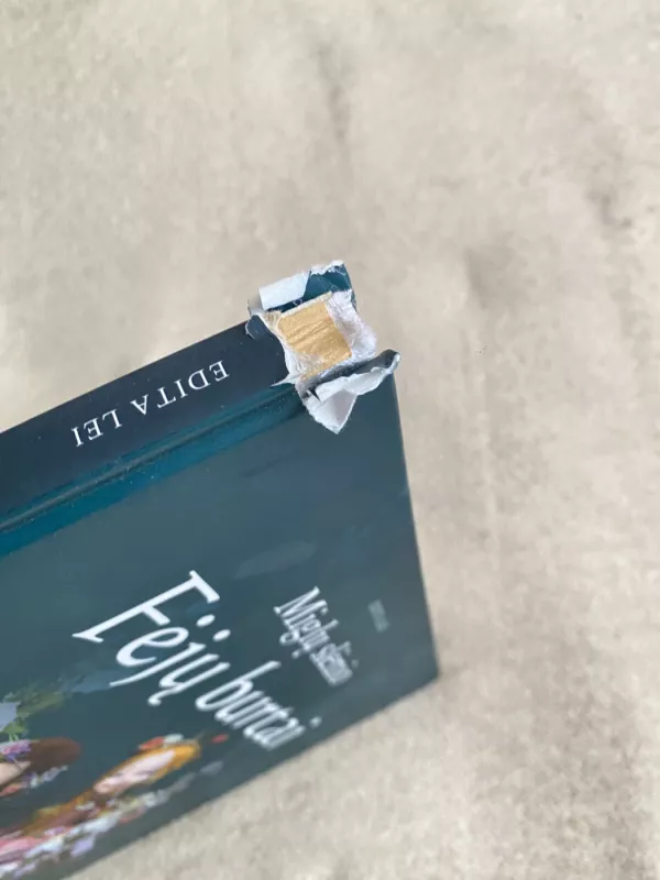 Miglų slėnio Fėjų burtai - Edita Lei, knyga 4