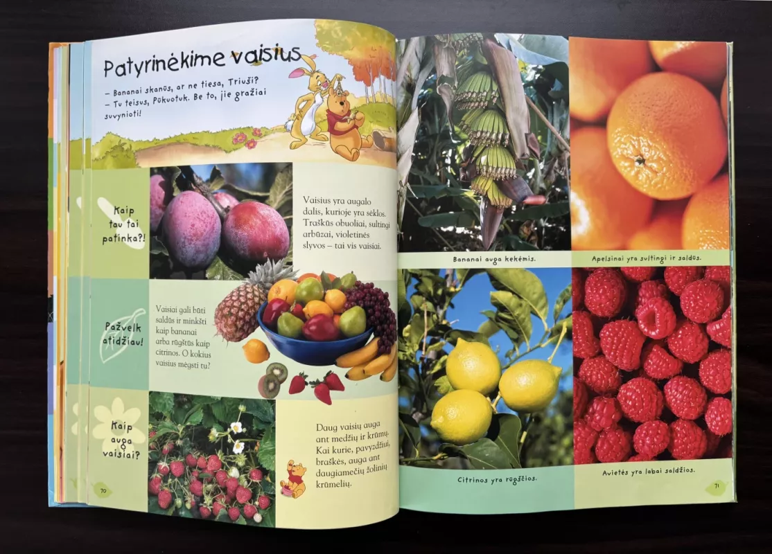 Mikės Pukuotuko enciklopedija. Gamta - Walt Disney, knyga 5